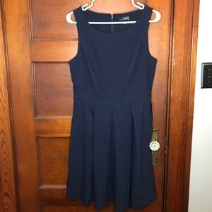 NWT The Limited Textured A-Line/Sheath Dress (48)